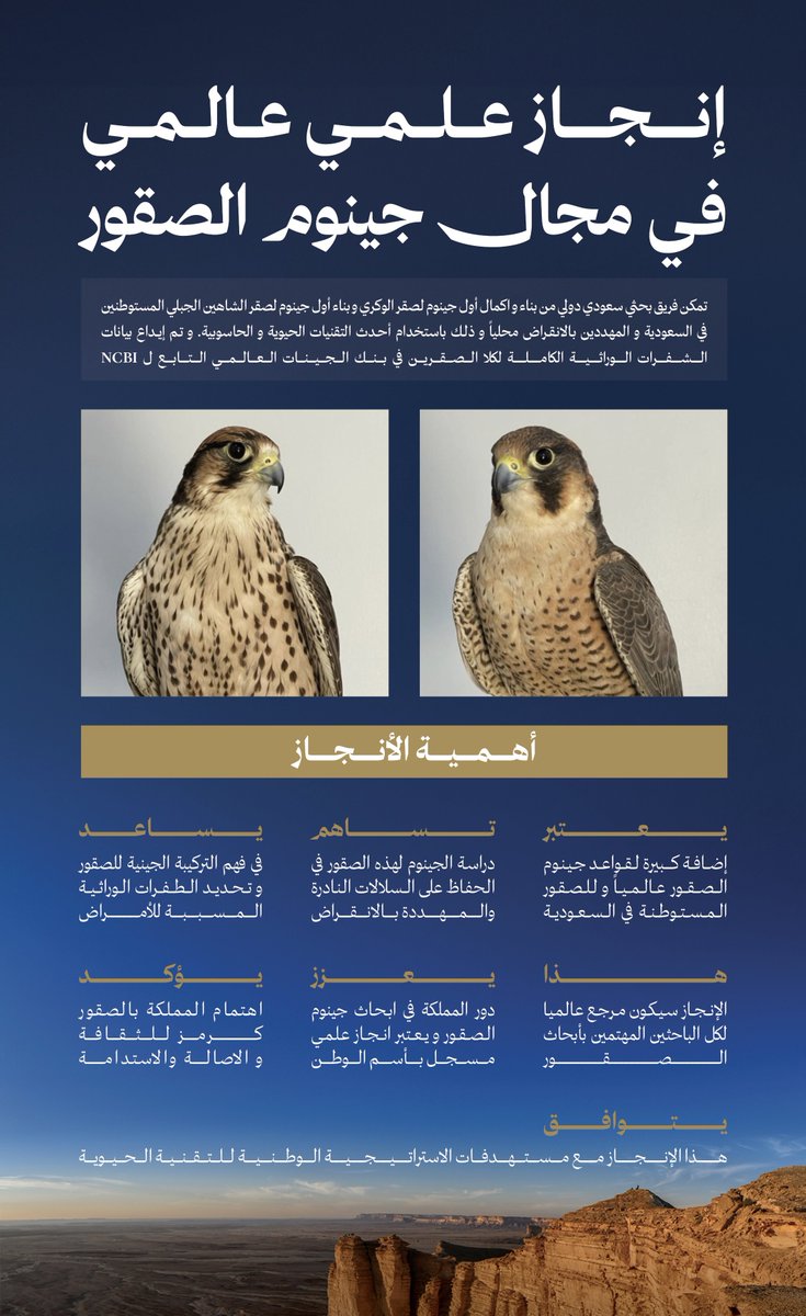 د. عبدالمجيد الرفاعيAbdulmajeed Alrefaei tweet media