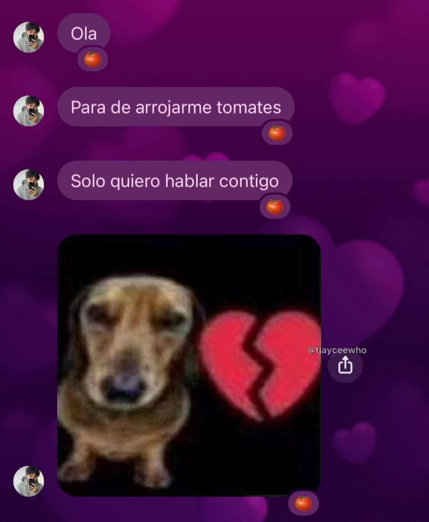 chincheto pirata somali tweet media