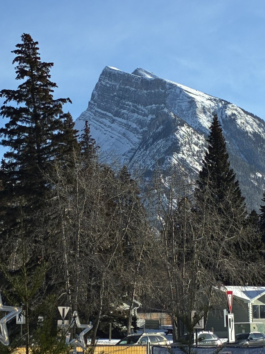 Dominic Pazzula tweet media