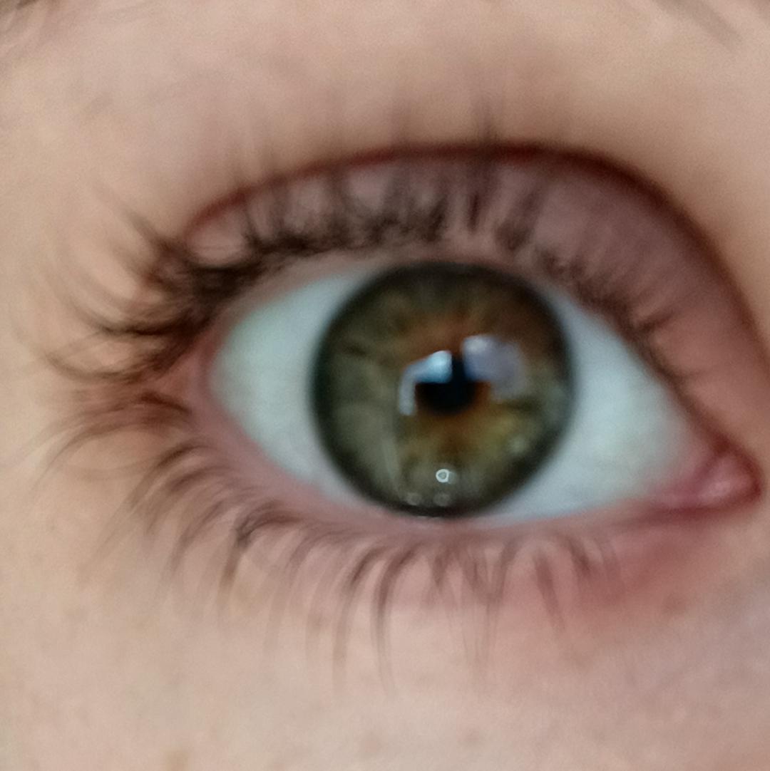 beaniebugses tweet media