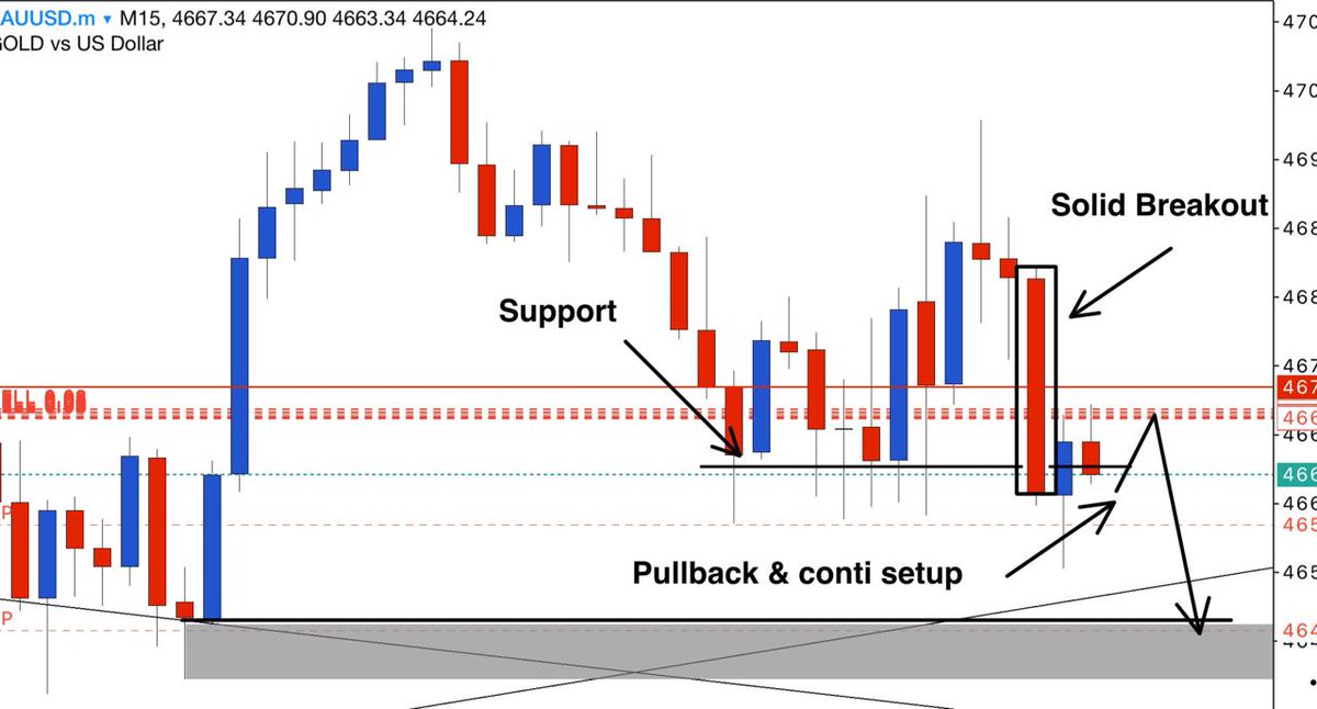 LAIM PIPSTAR ⭐ tweet media