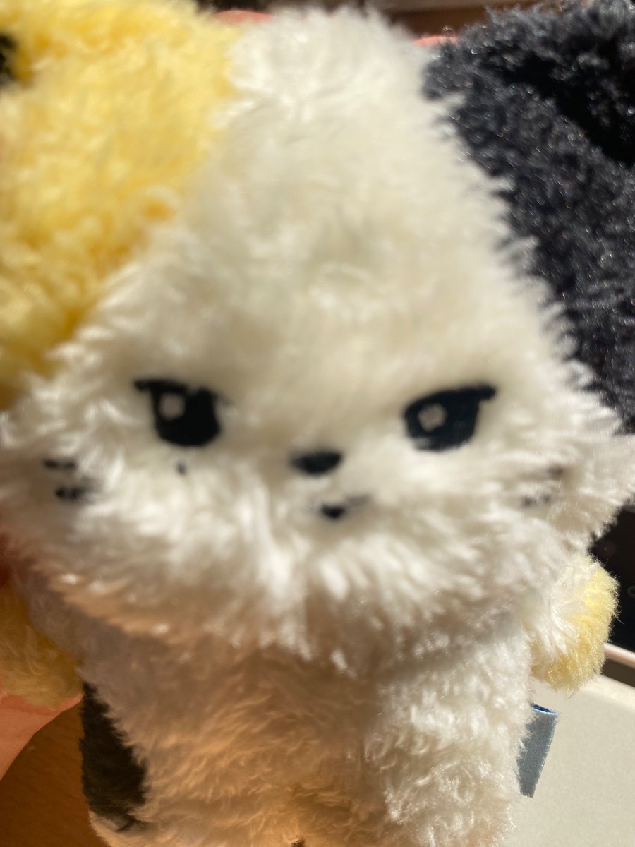 sara🐯 tweet media