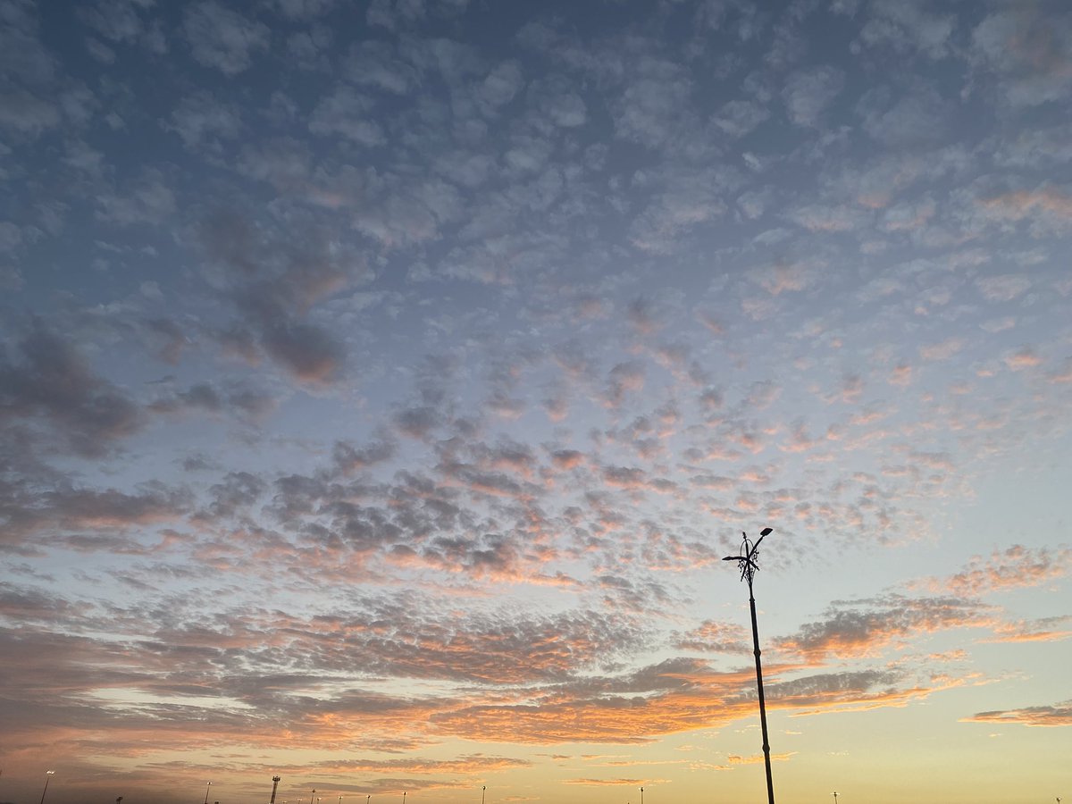 Abdulrhman tweet media