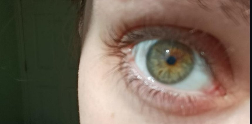 beaniebugses tweet media