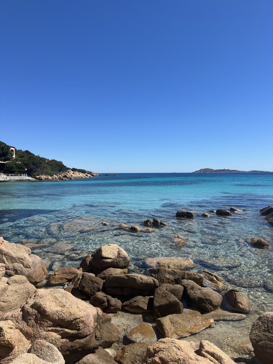 giuseppe tweet media