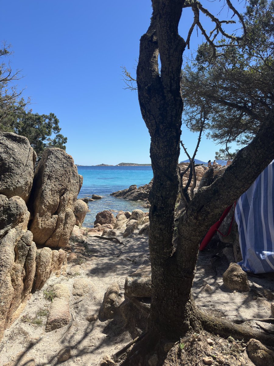 giuseppe tweet media