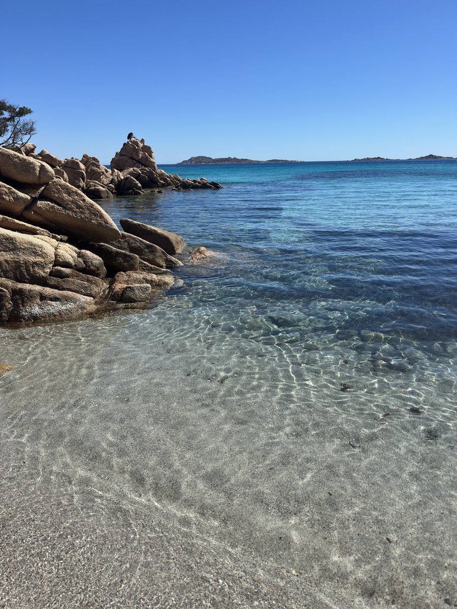 giuseppe tweet media