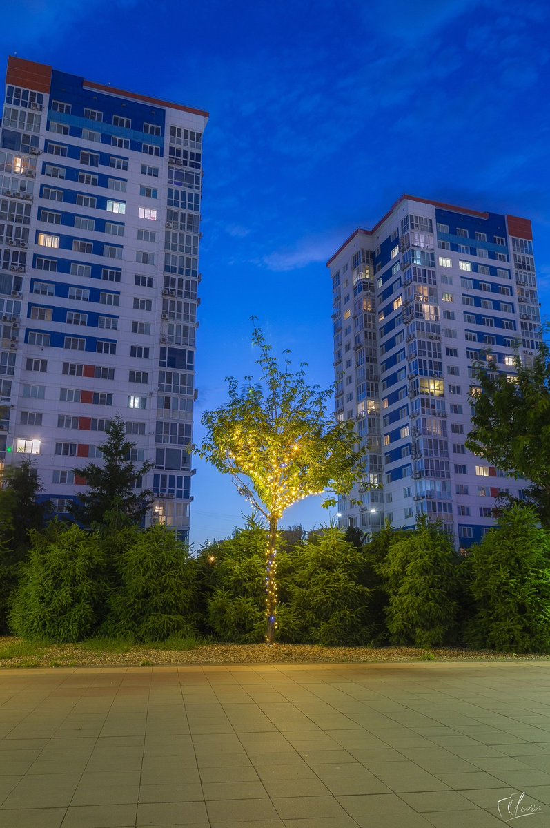 temsu_walling tweet media