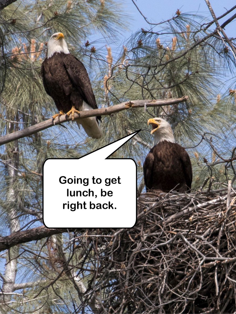 California Department of Water Resources tweet media