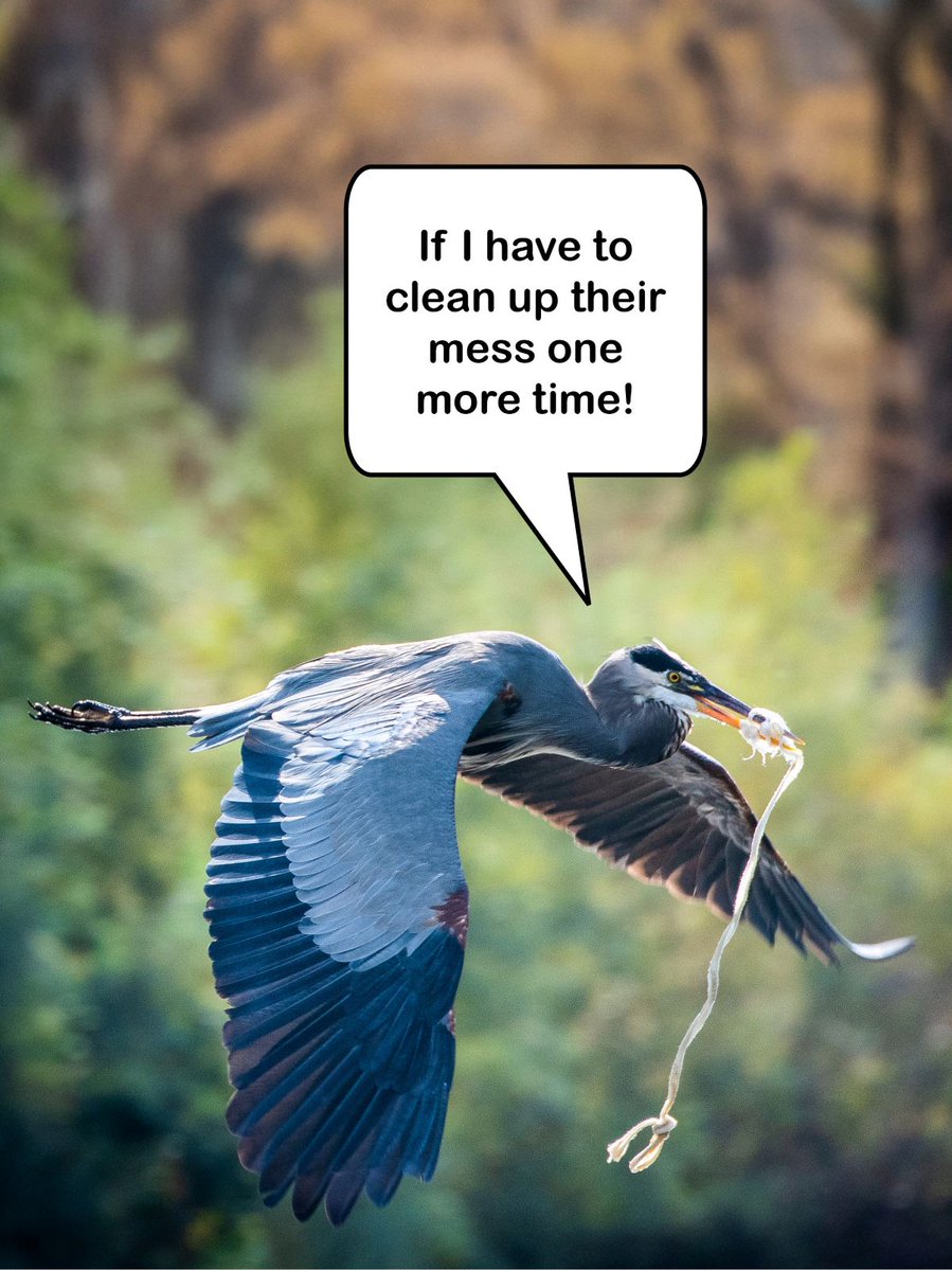 California Department of Water Resources tweet media