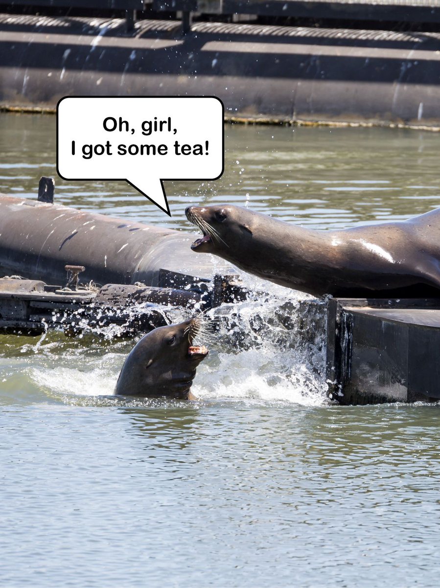 California Department of Water Resources tweet media