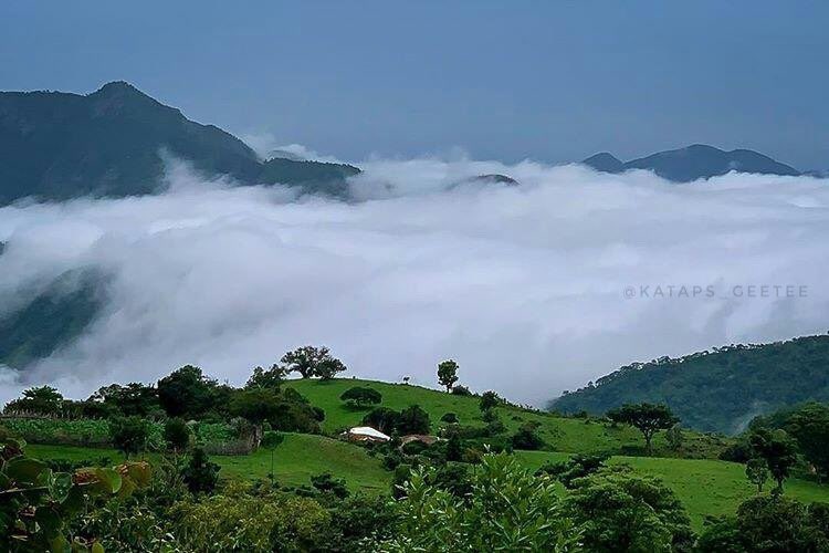 Peace Ighodaro💛 tweet media