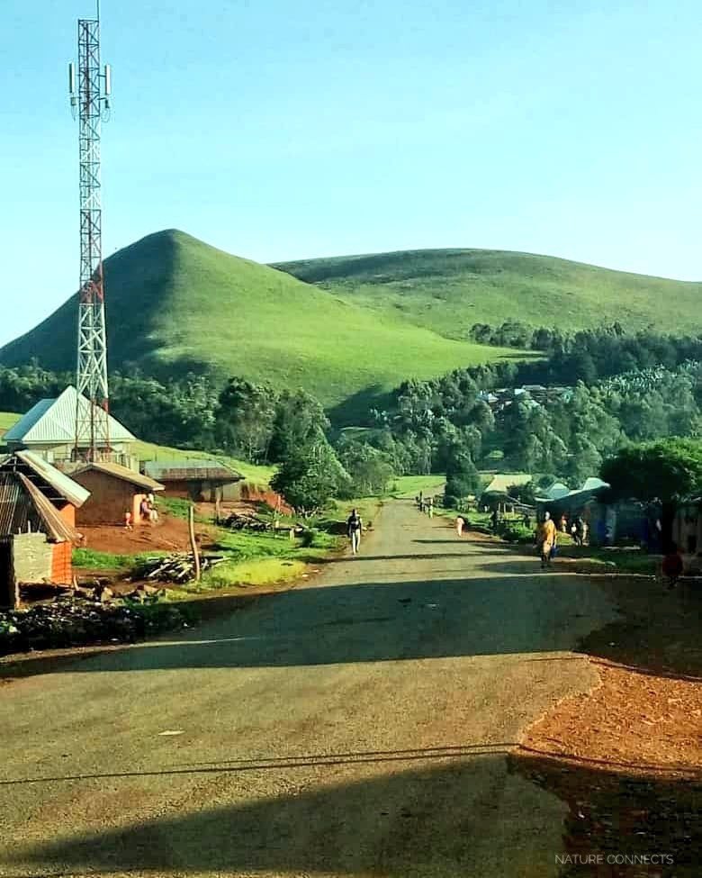 Peace Ighodaro💛 tweet media