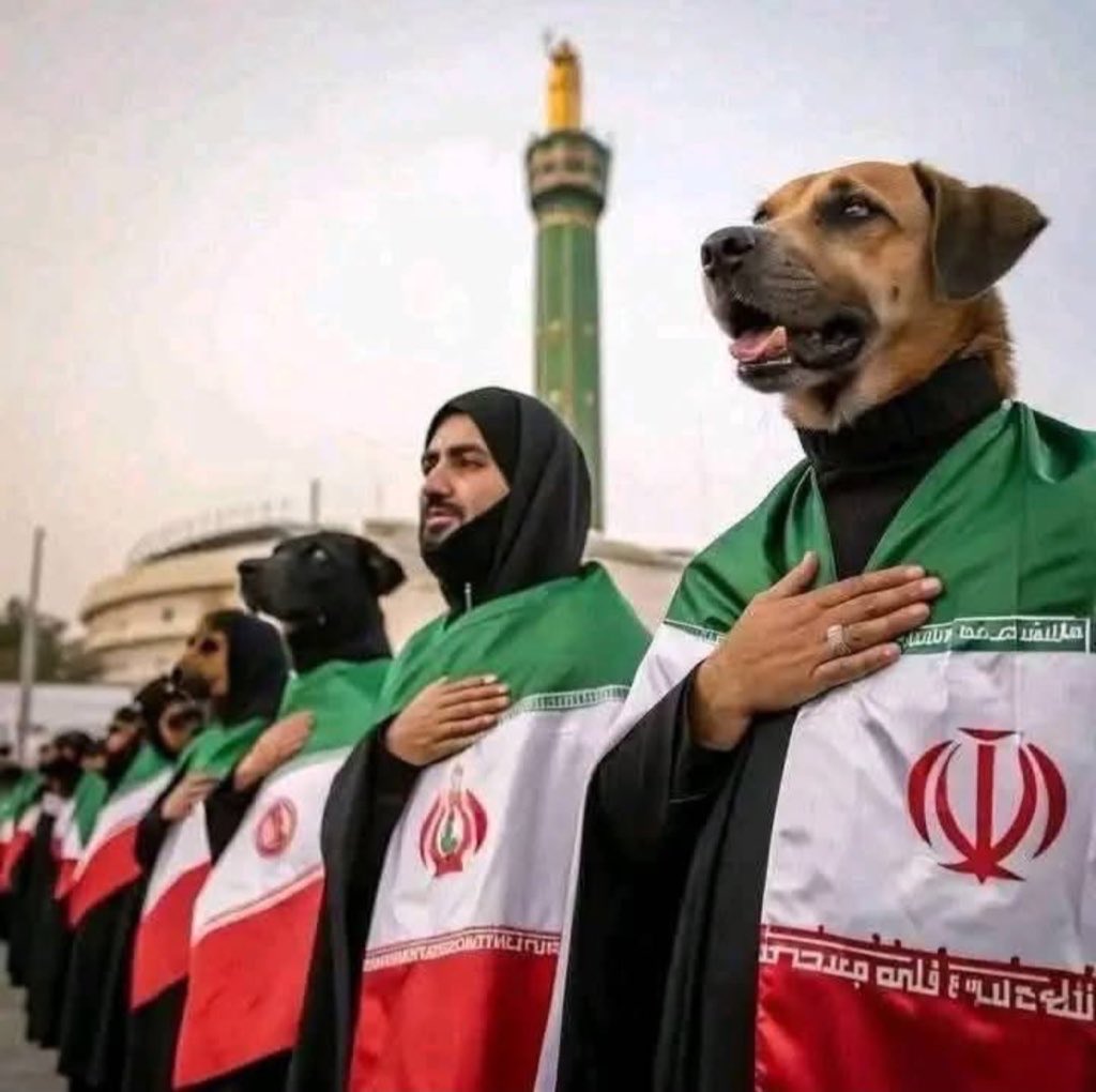 ܔܔܛܔܔܛܔܔܛܔ 🇶🇦 tweet media