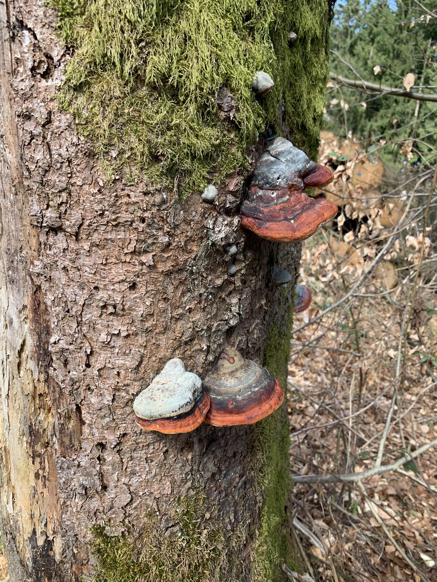 𝐖𝐢𝐧𝐝𝐳𝐞𝐢𝐭 tweet media