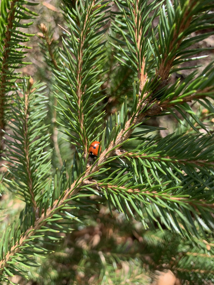 𝐖𝐢𝐧𝐝𝐳𝐞𝐢𝐭 tweet media