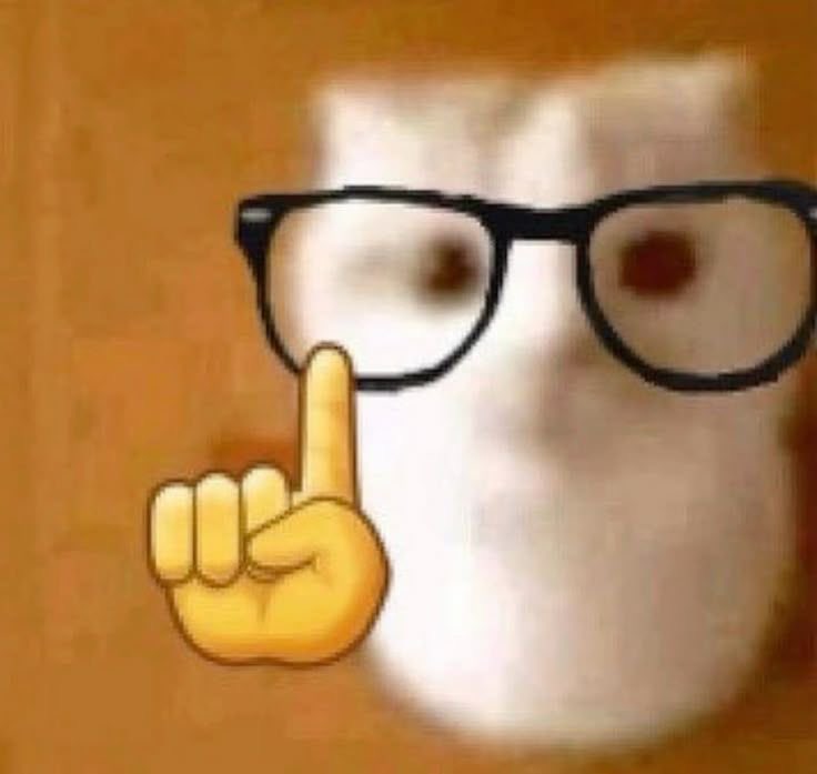 guaxinik tweet media