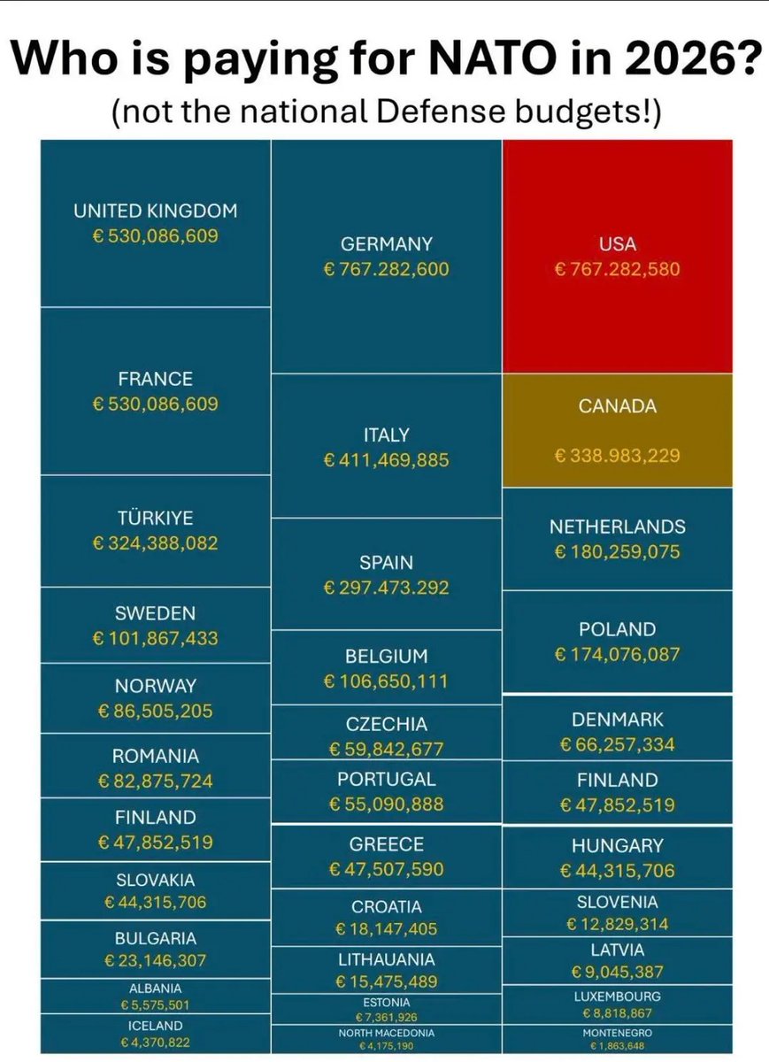 Mineur🇸🇪 tweet media