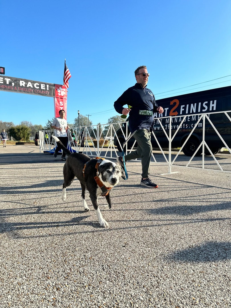 ObsidianPR's tweet photo. You’ve got a little less than two weeks to prep for @MemphisHumane's The Fast &amp; The Furriest 5K! The good news: you can sprint, walk or stroll at your leisure in this dog-friendly race. Every registration saves local animal lives! https://t.co/0ihaobOoUV https://t.co/13ItZQsFbp