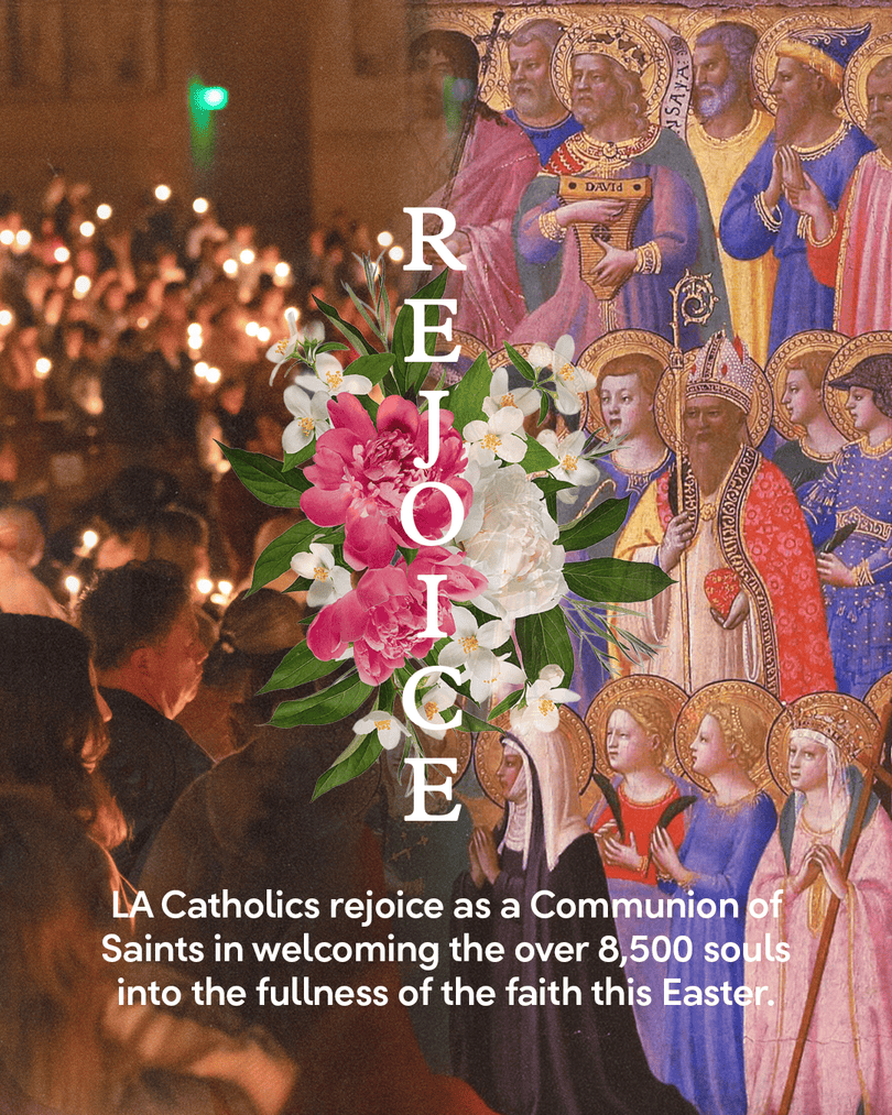 lacatholics's tweet photo. The #LACatholics community is SO excited to welcome home the 8,500+ that joined full communion in the Catholic Church this #Easter! 

Drop a 🕊���if you’re praying for them! https://t.co/khUAaqeTQJ