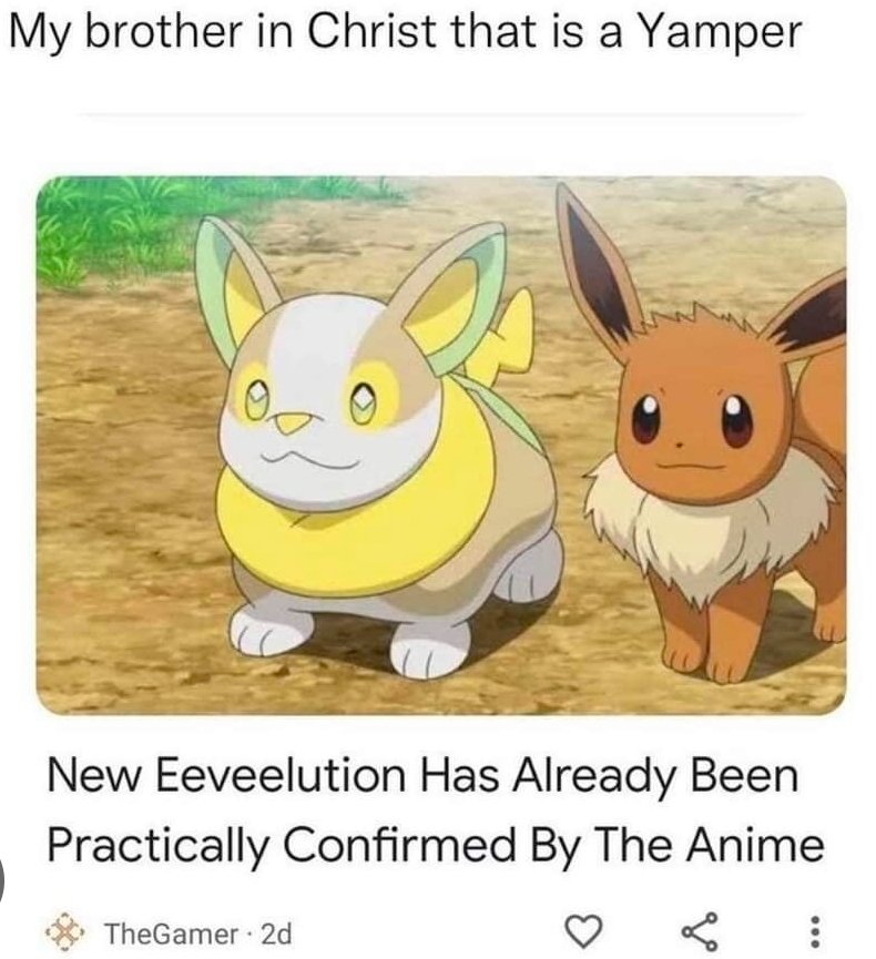 Yamper Propaganda ⚡️ tweet media