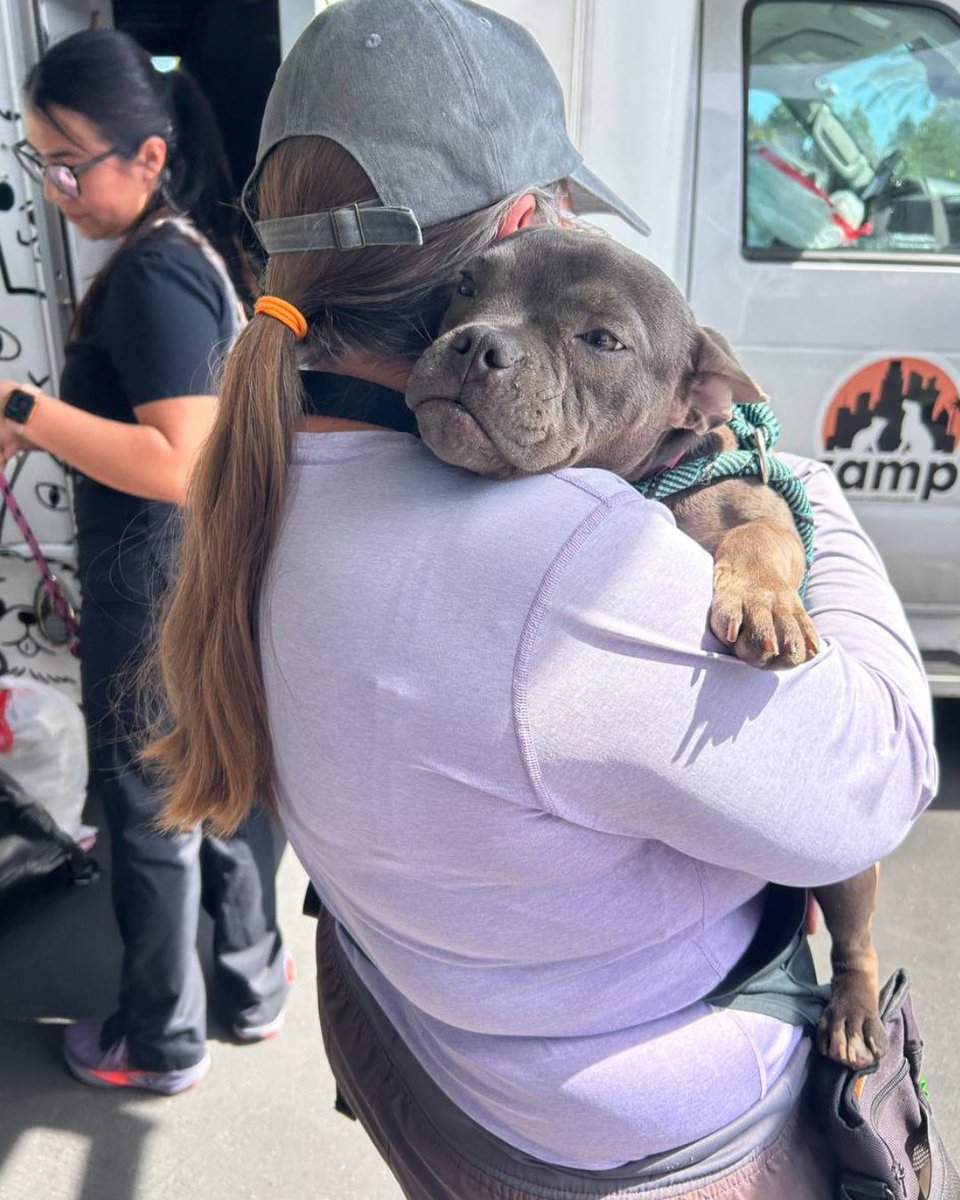 15/10 Foundation tweet media