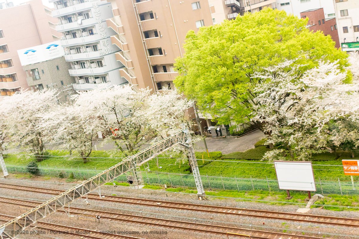 milklite tweet media