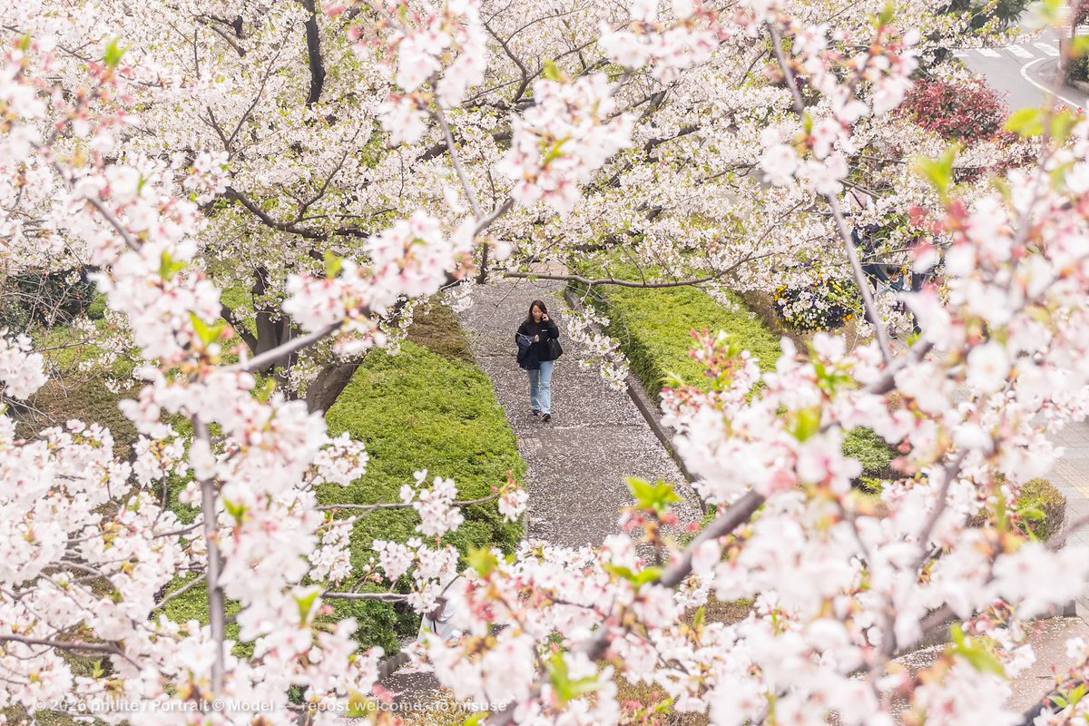 milklite tweet media