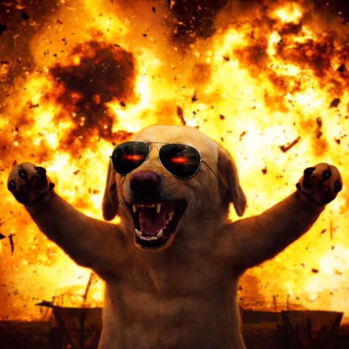 <a href="/bloodweb3/">blood</a> The list is not complete without $DOG blood 

Remember that a project that invests in its community usually builds loyalty. And loyalty is what keeps a project alive during tough times.
$DOG is building that early.

$DOG community are the most active community. We are organic. We