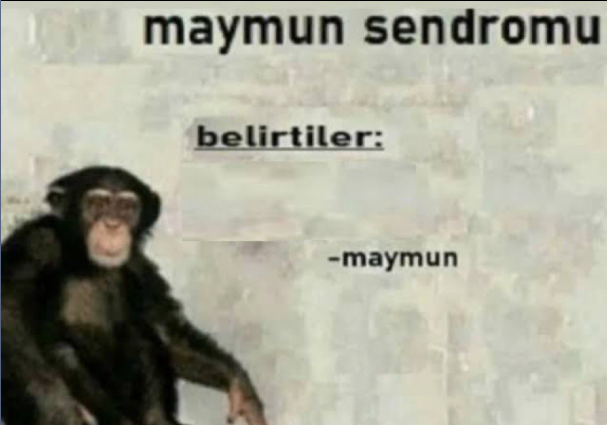 Herhangi Bir Adam tweet media