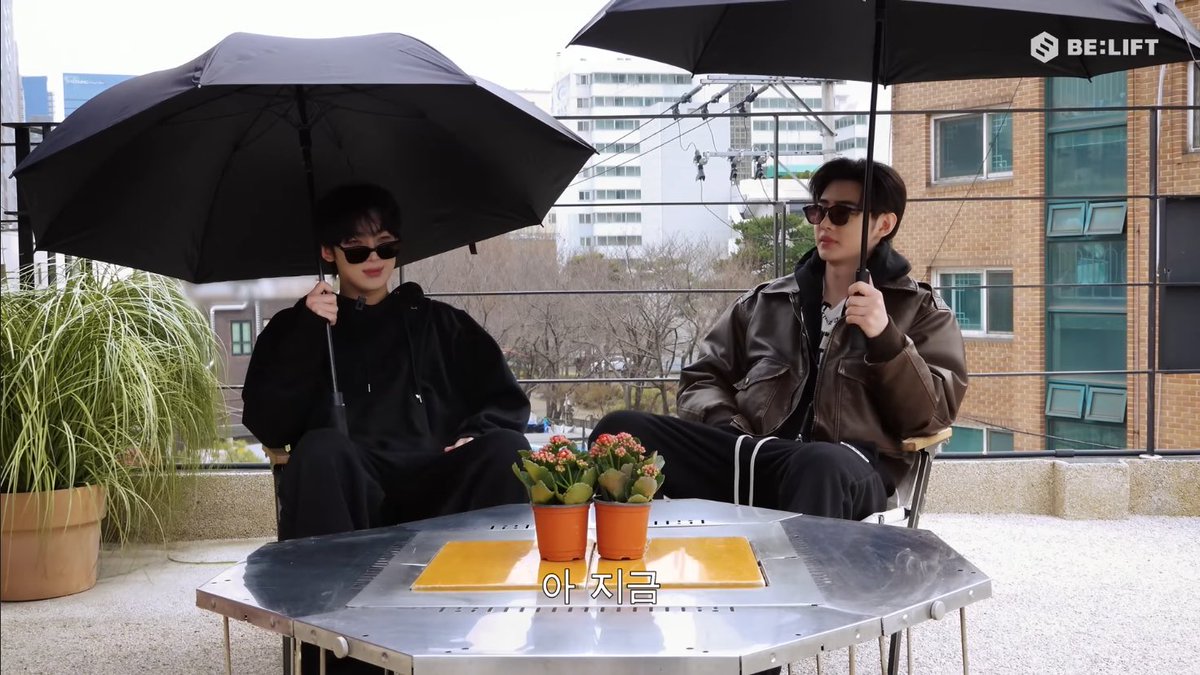 ぺるる tweet media