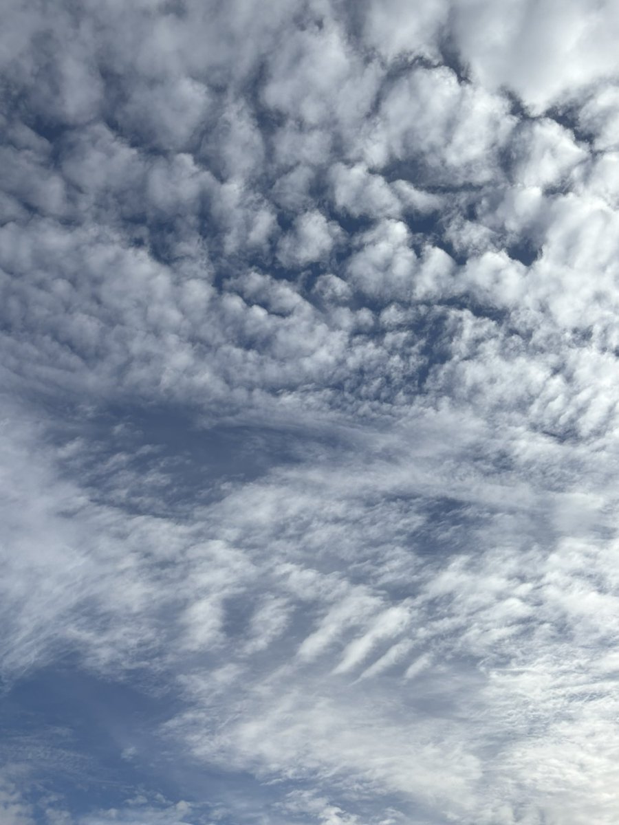 technicalsupport95 tweet media