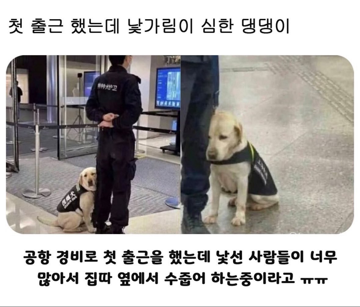 akzkfltm2's tweet photo. https://t.co/1RJDzhetmn