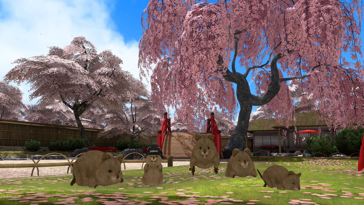 いちぼし tweet media