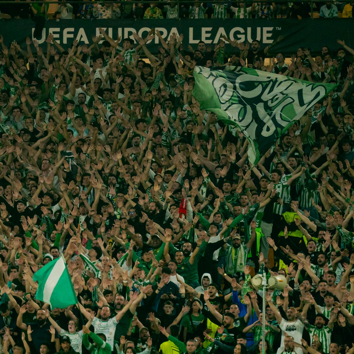 Real Betis Balompié 🌴💚 tweet media