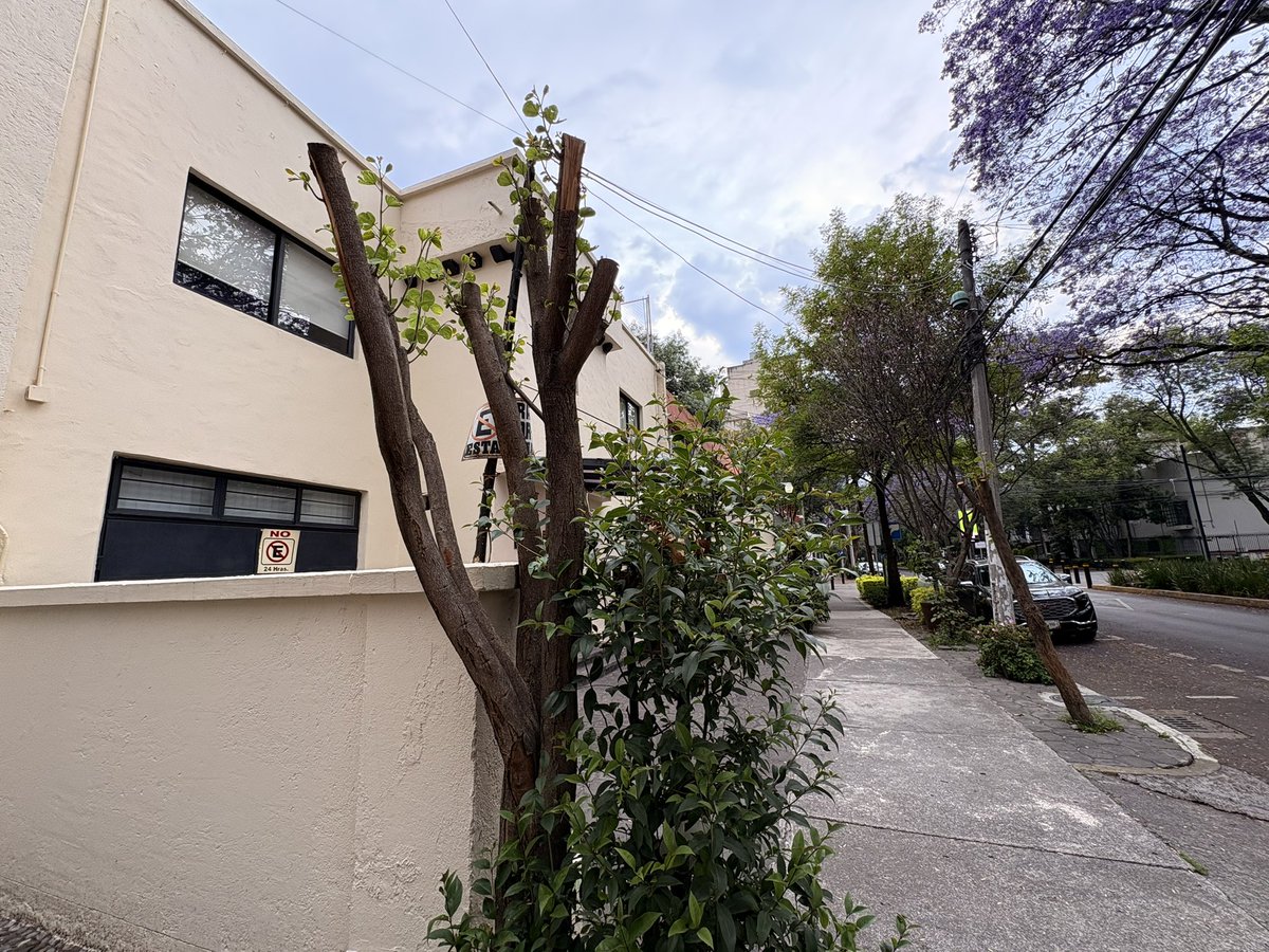 Crédito Constructor tweet media