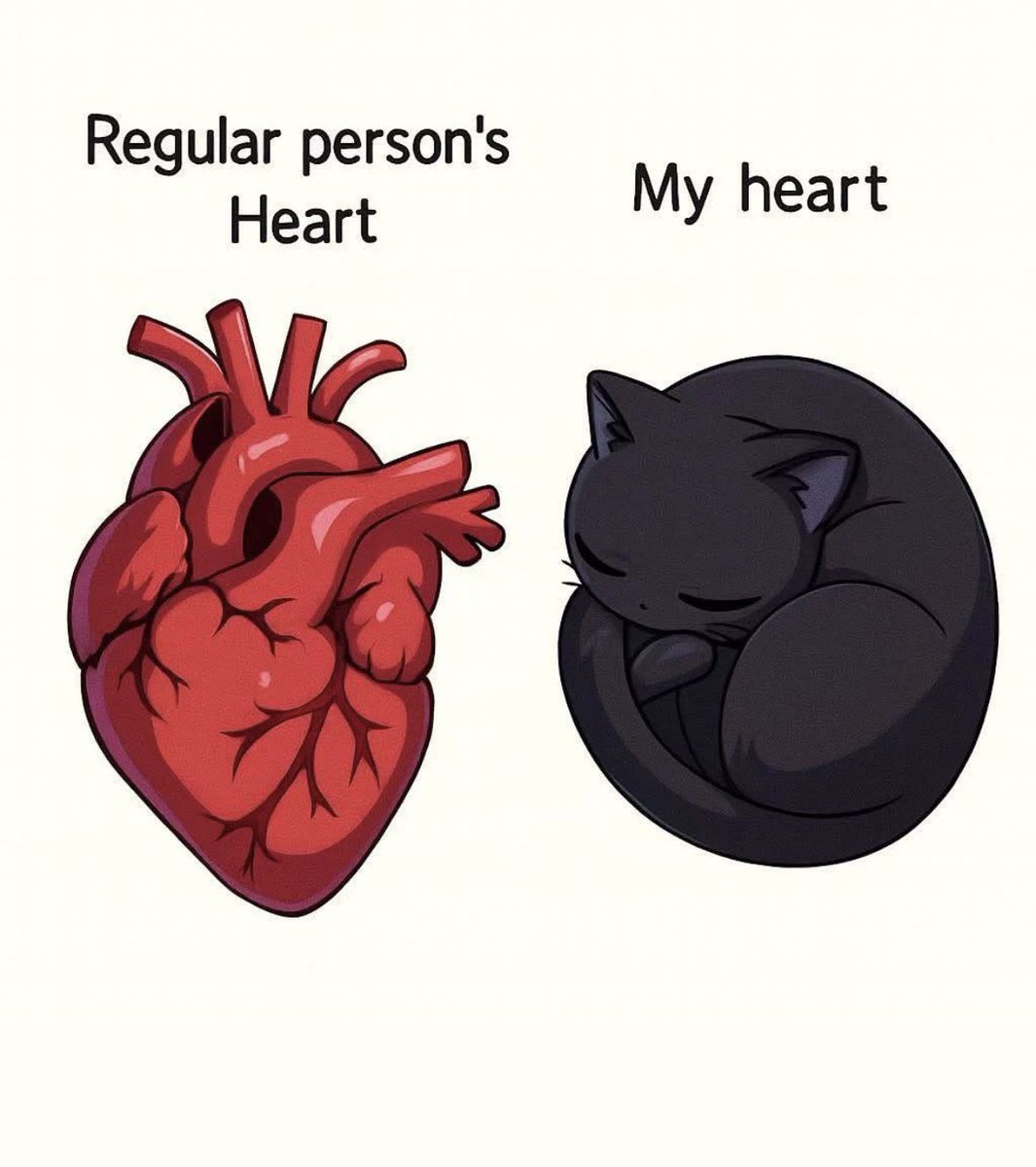 Black cats are not bad luck tweet media