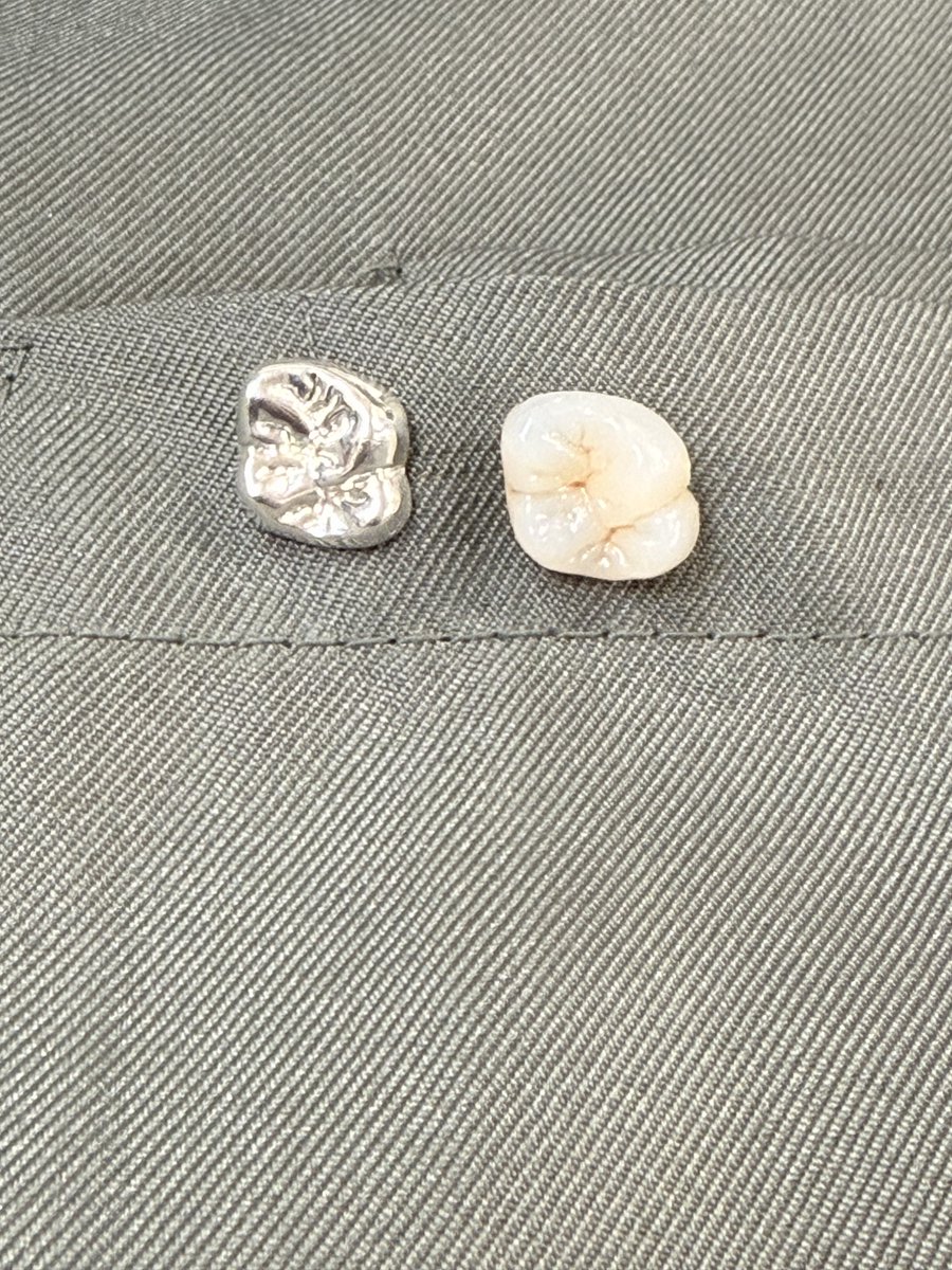 歯のおもちゃ屋さん🦷 tweet media