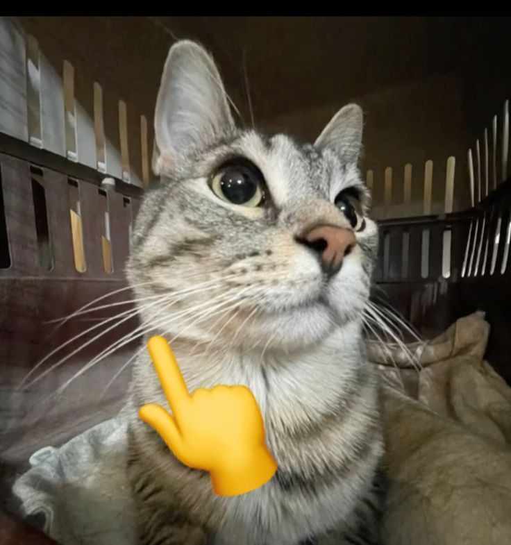 Ruipeng. tweet media