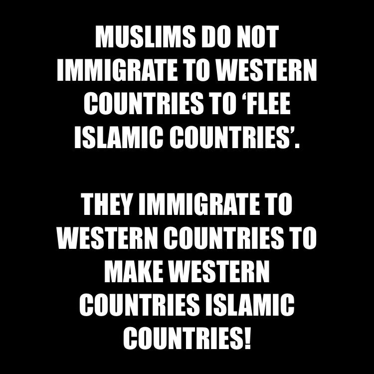 MAGA Curmudgeon ✝️🇺🇸 tweet media