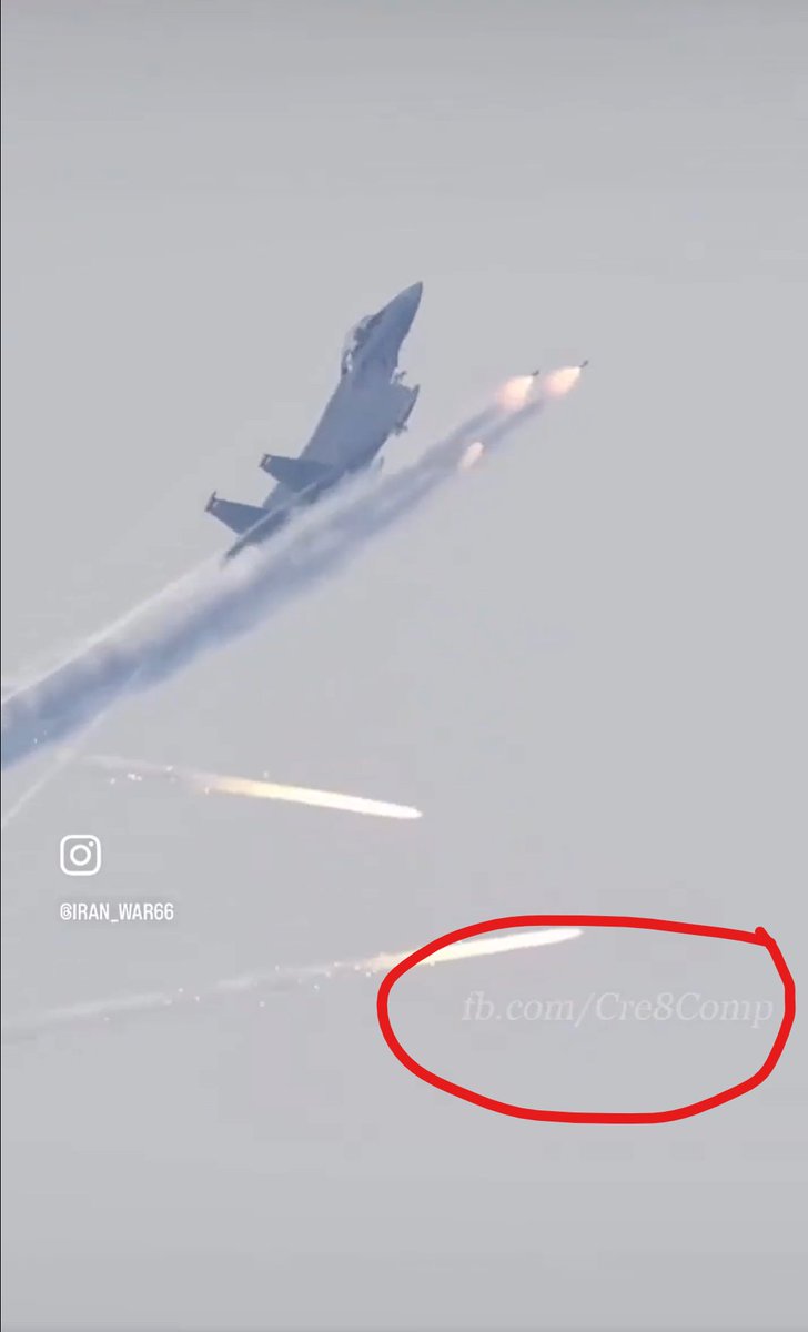 Border Collie (בורדר קולי) tweet media