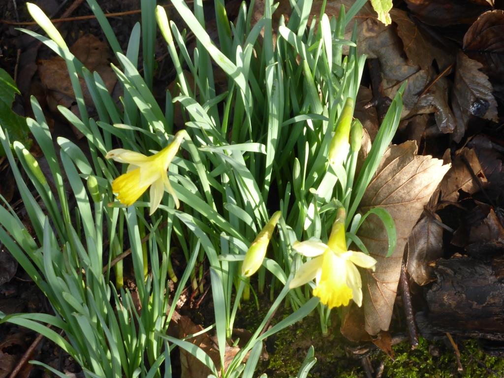 Nicky Geeson 🍃💚🍃💧🧭 tweet media