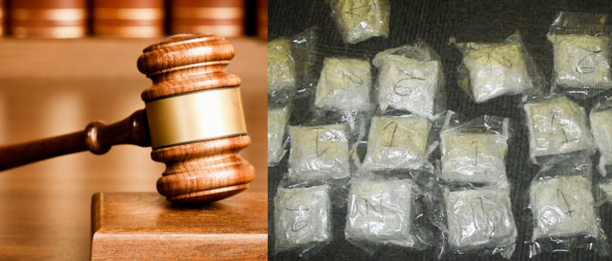 Occupy Democrats tweet media