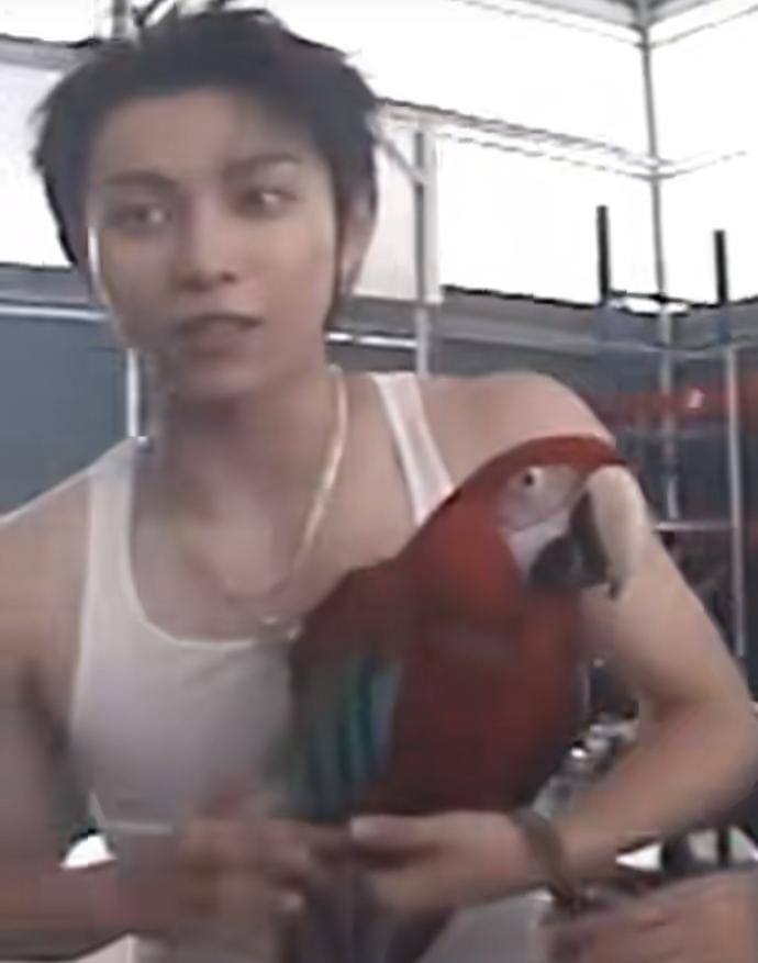 fazeline tweet media