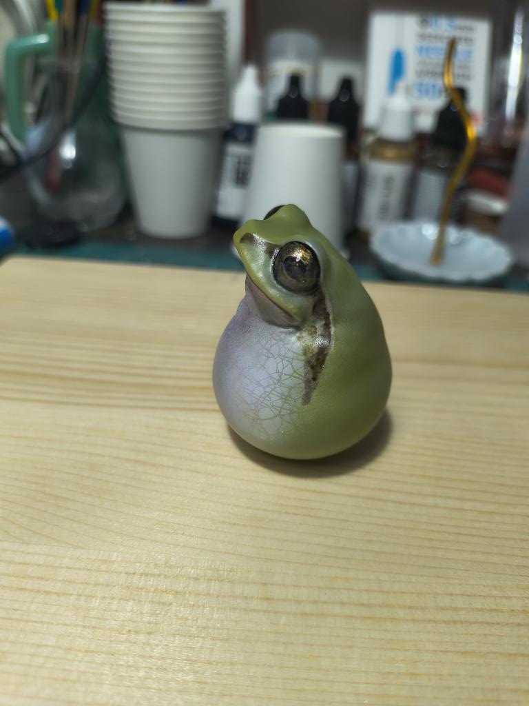 Bakaeru_model:蛙の棚 tweet media