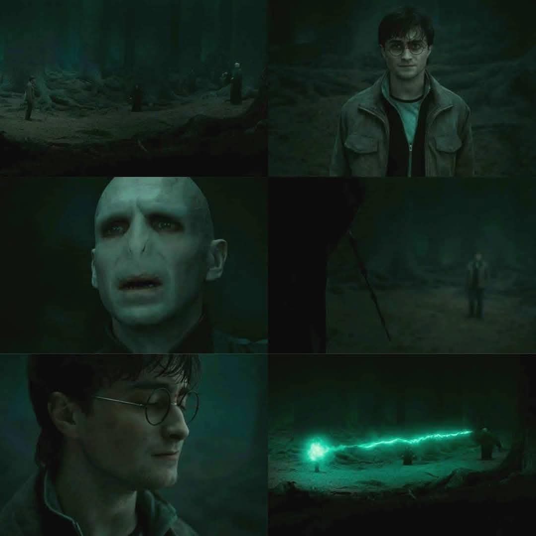 Potter Files tweet media