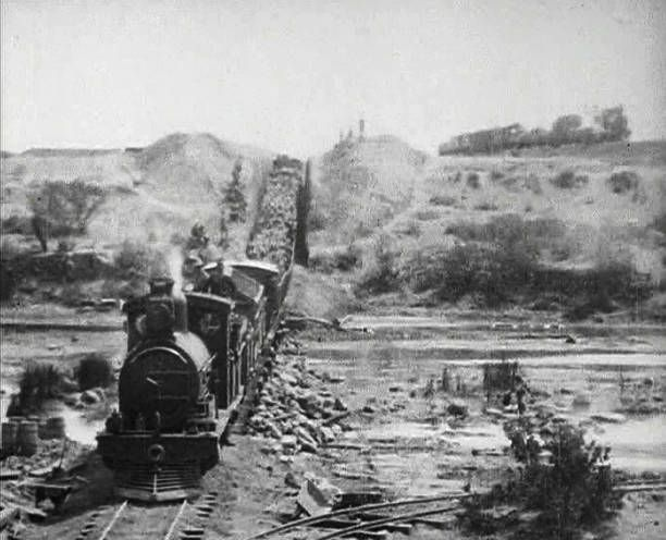 Mike the Warthog tweet media