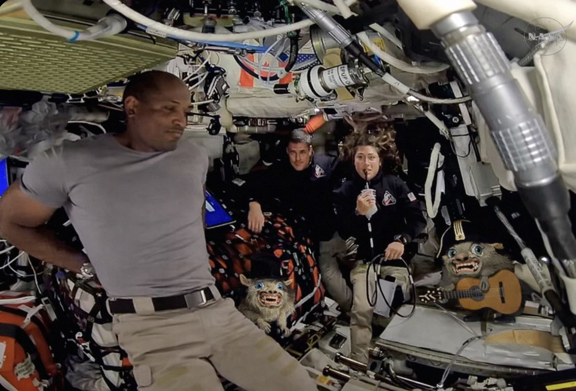 𝔇𝔬𝔠 tweet media