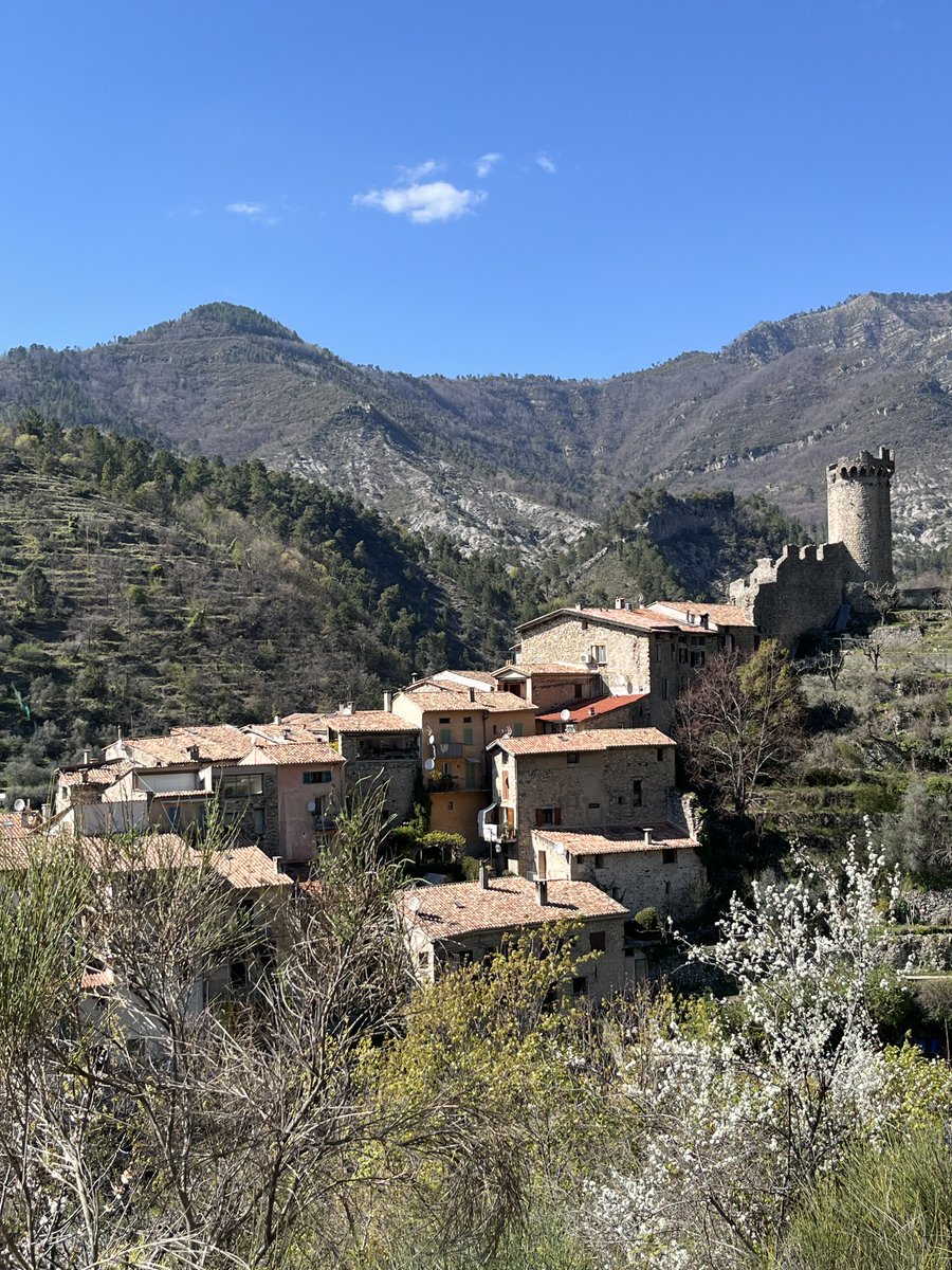 Demilune83 tweet media