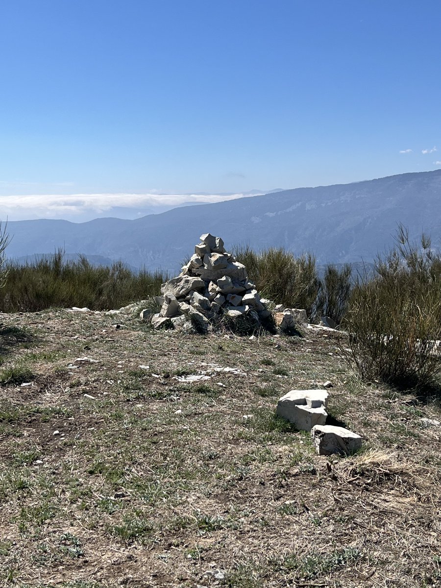 Demilune83 tweet media